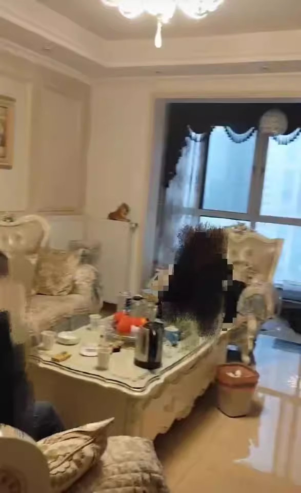 （6折 雙學位）北辰鳳凰天階苑法拍房B2E2區(qū)17055房